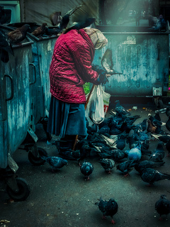 The light within everyone