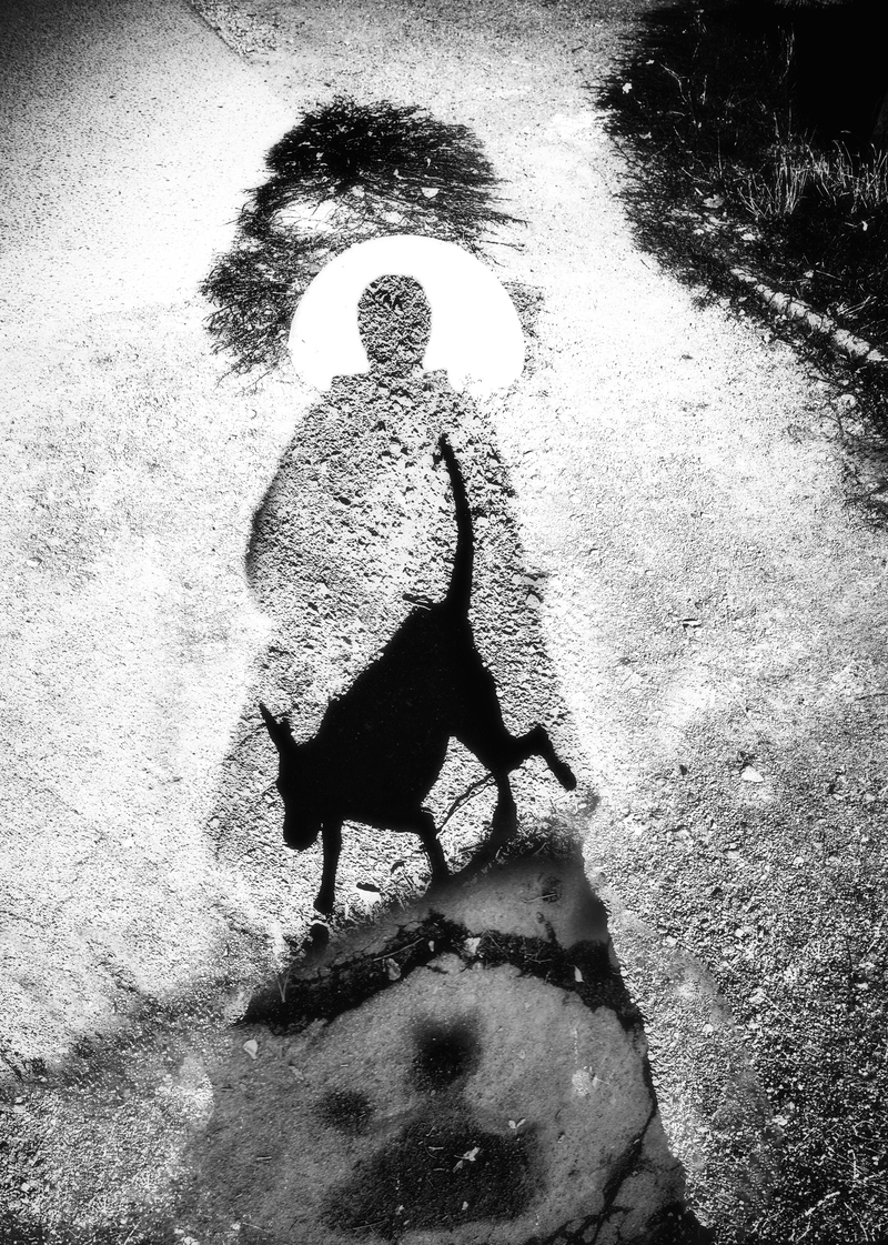 Тетяна Аверіна / Гра тіней