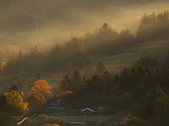 The first rays of the sun