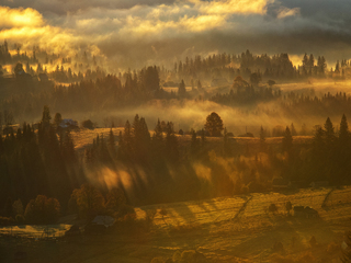 Morning, sun and fog.