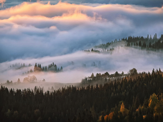 Dance of fog over the mountain