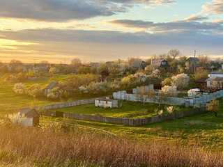 Південна весна