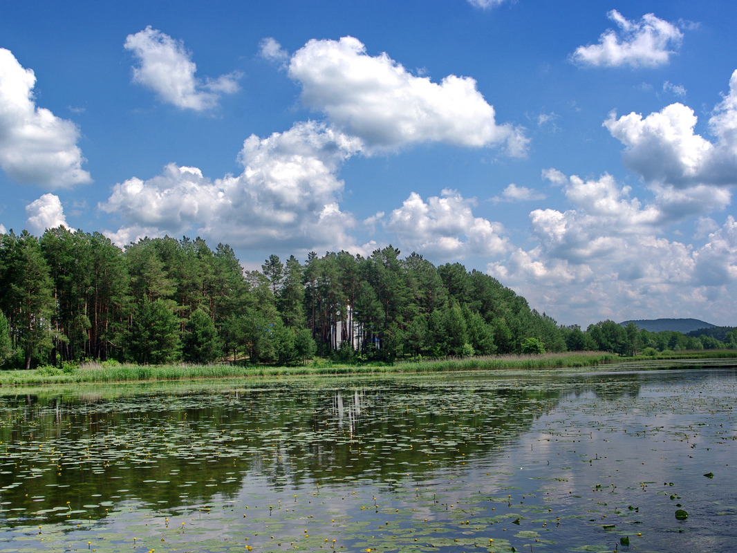 На ставу /біля храму/