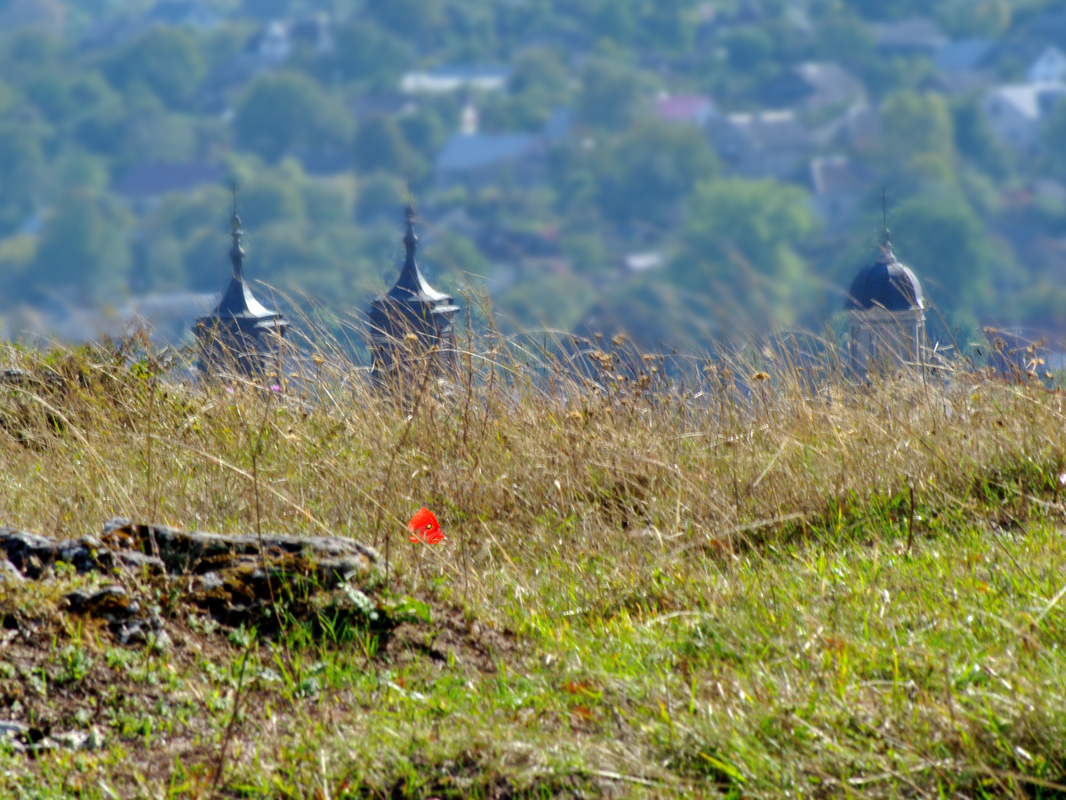 Вежі колегіуму від Воловиці