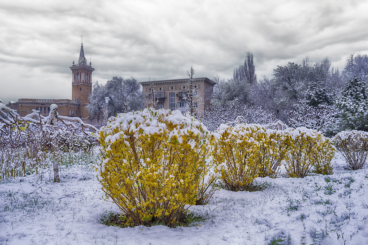 Весна в Запоріжжі