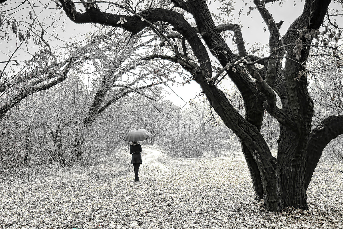 Осінь в парку