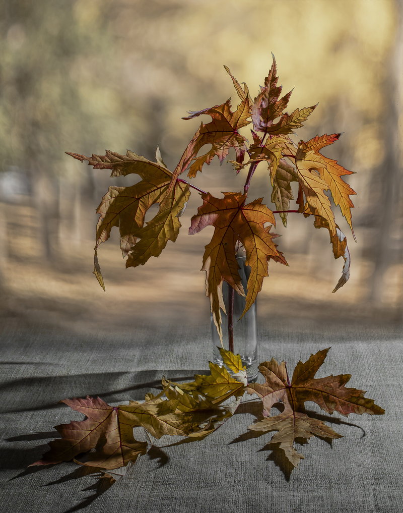 Осіння композиція