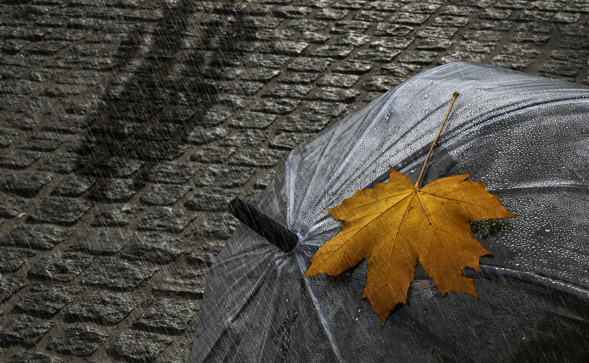 Осіння фантазія