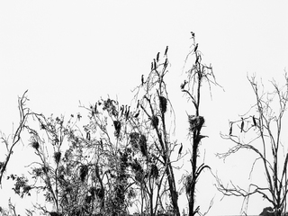 Батьківські збори