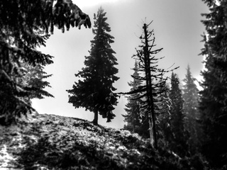 Боротьба за життя!