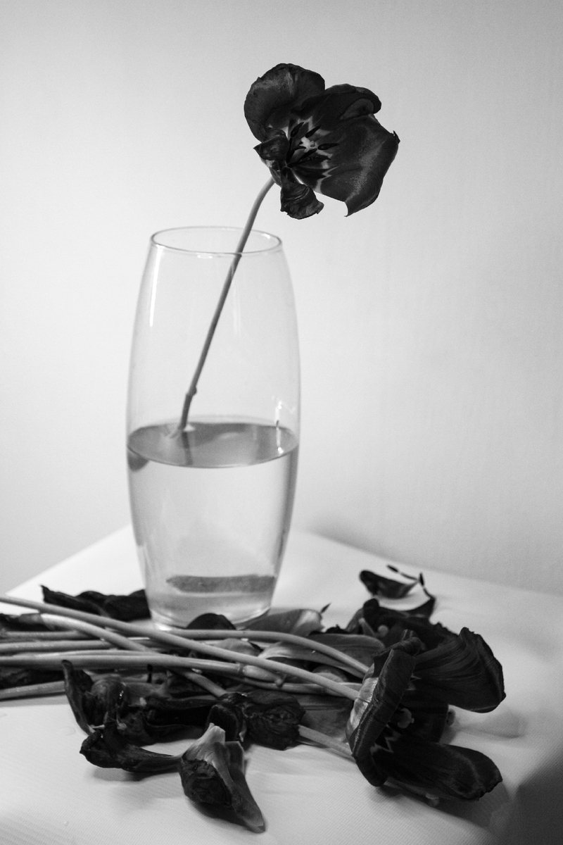 Боротьба за життя