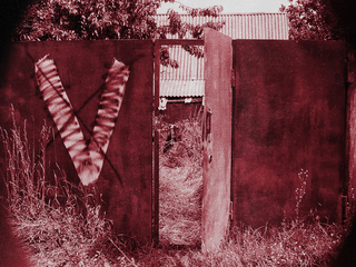 Київська область 2022. Андріївка.