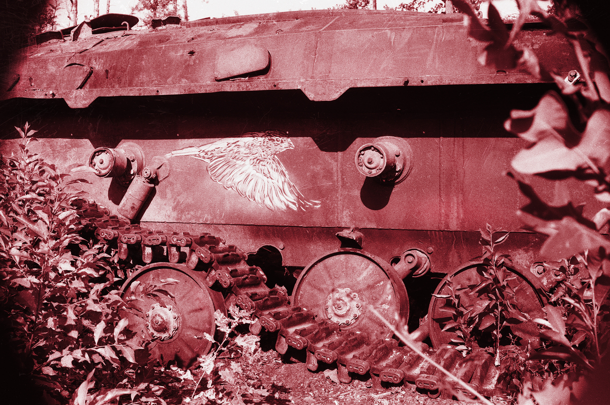 Київська область 2022. Дмитрівка.