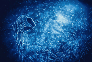 Tell me about the sky