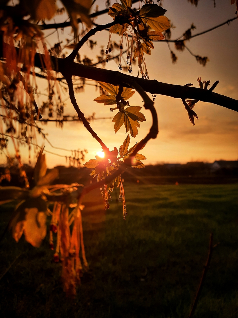Промінь надії