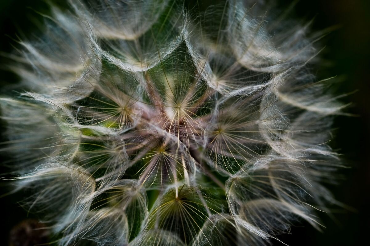 Танок легкості