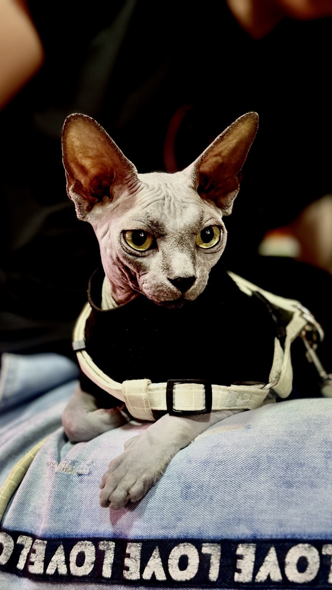 Подивись мені в очі