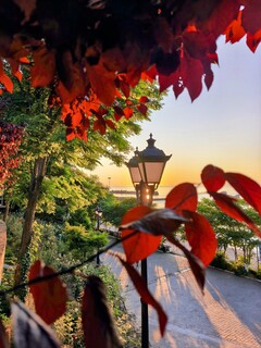 Незабаром осінь