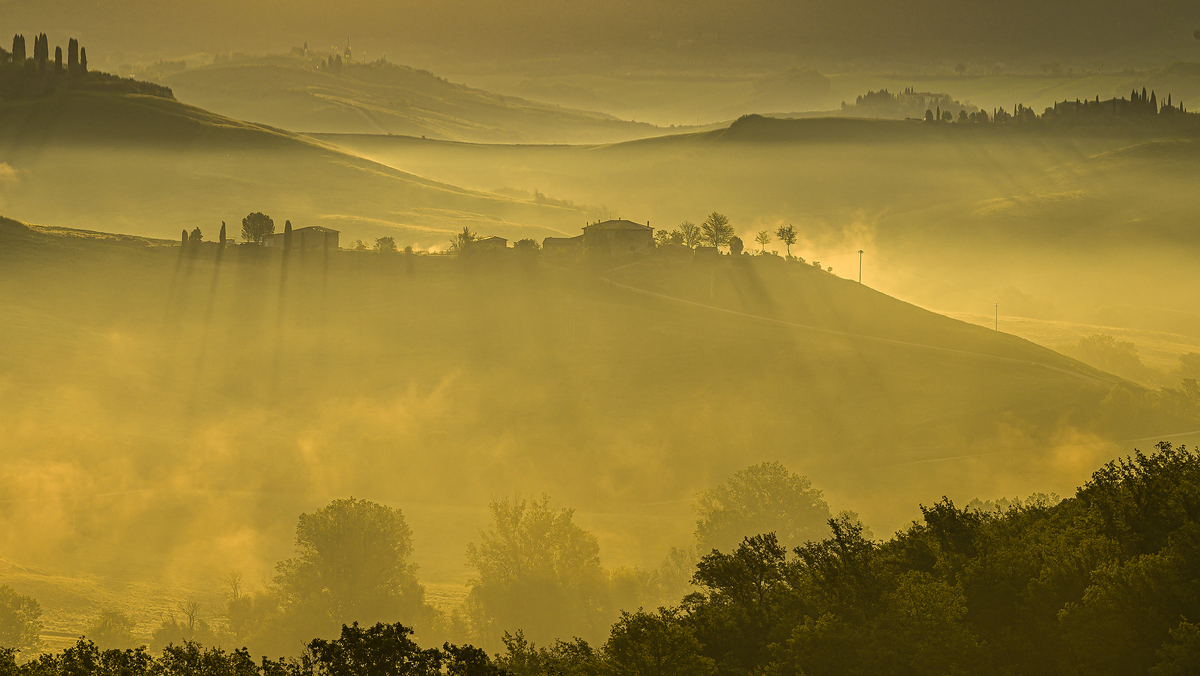 Golden horse sunrise