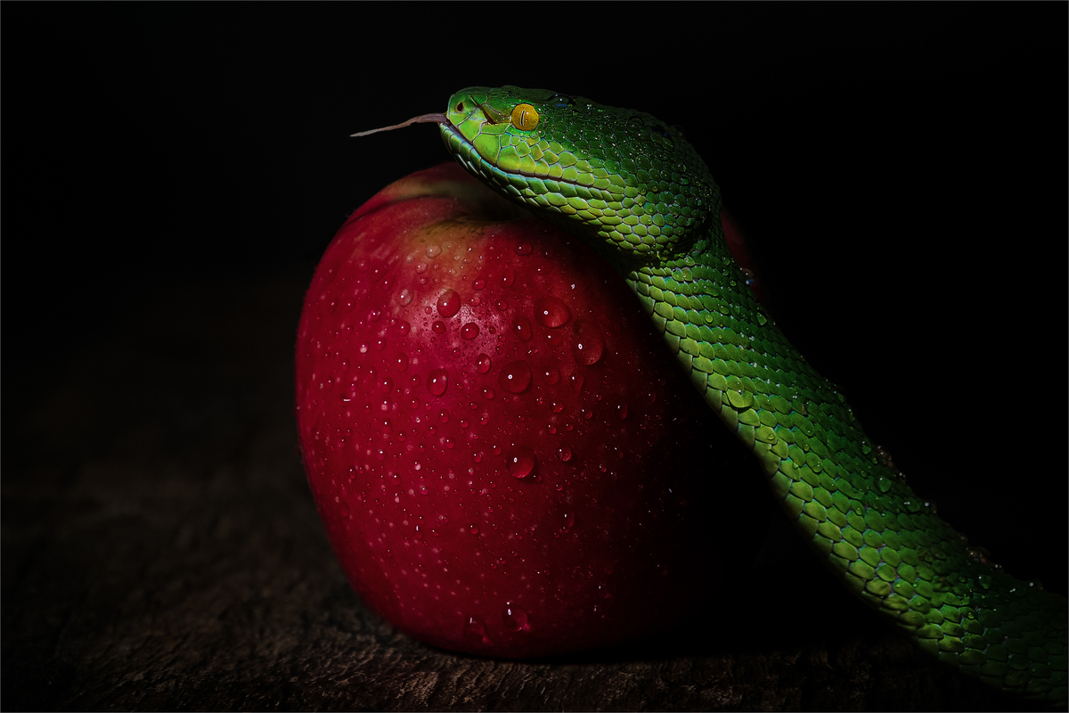 The very first temptation