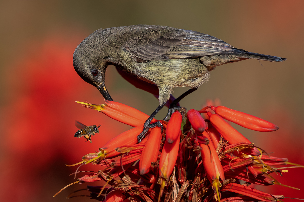 Wanting the same thing