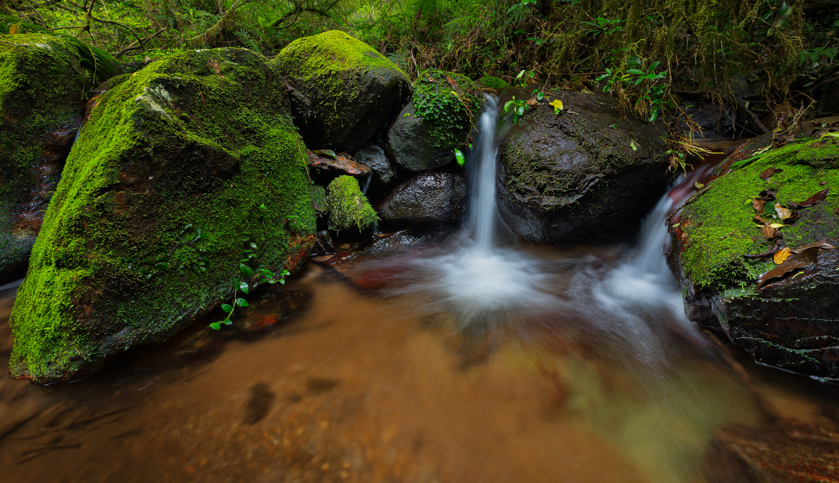 Only a little water is life