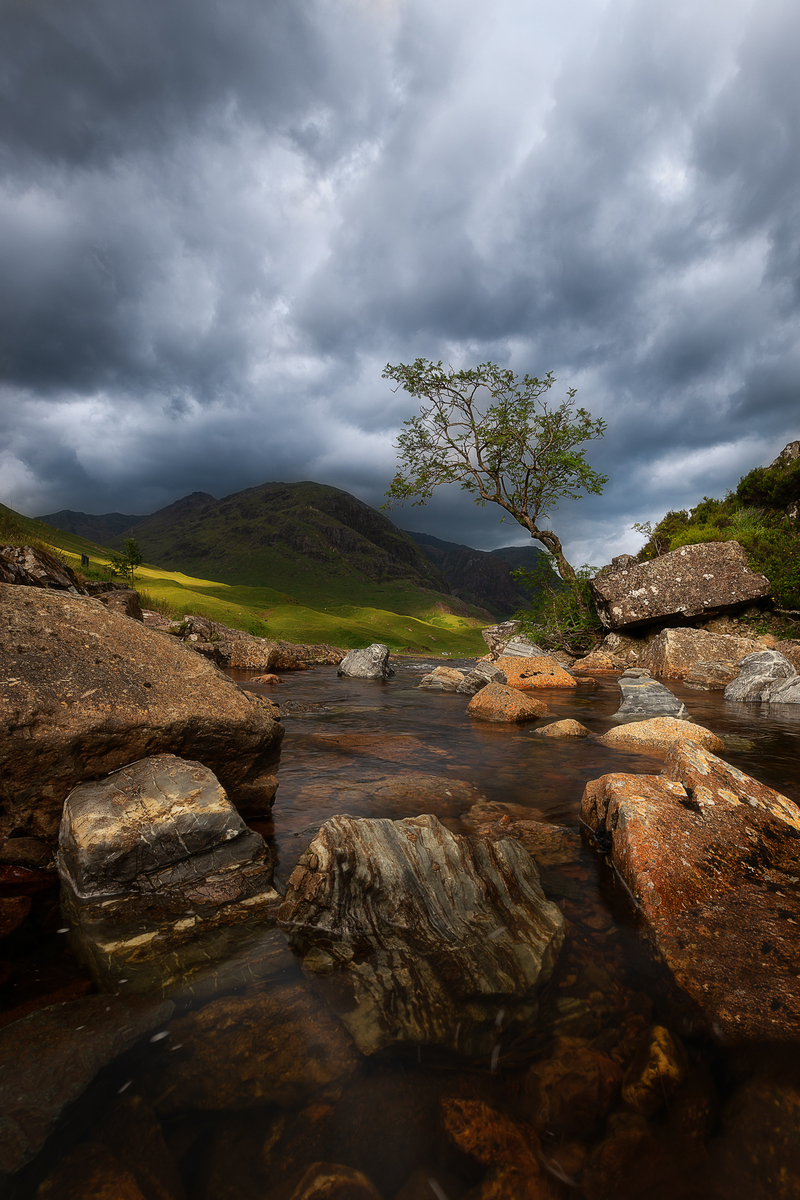 Standing tall in Glencoe
