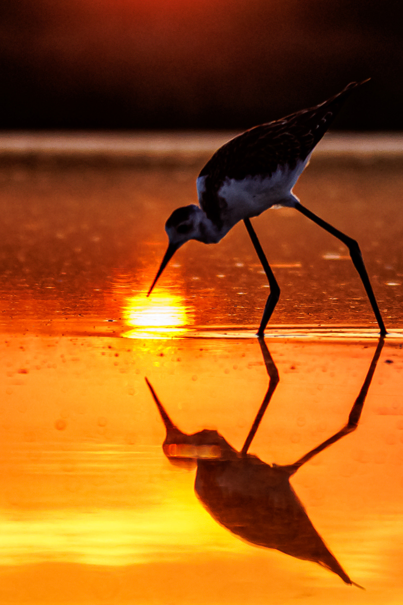 A little bit of the Sun