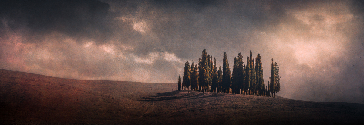 Cyprès de San Quirico d'Orcia