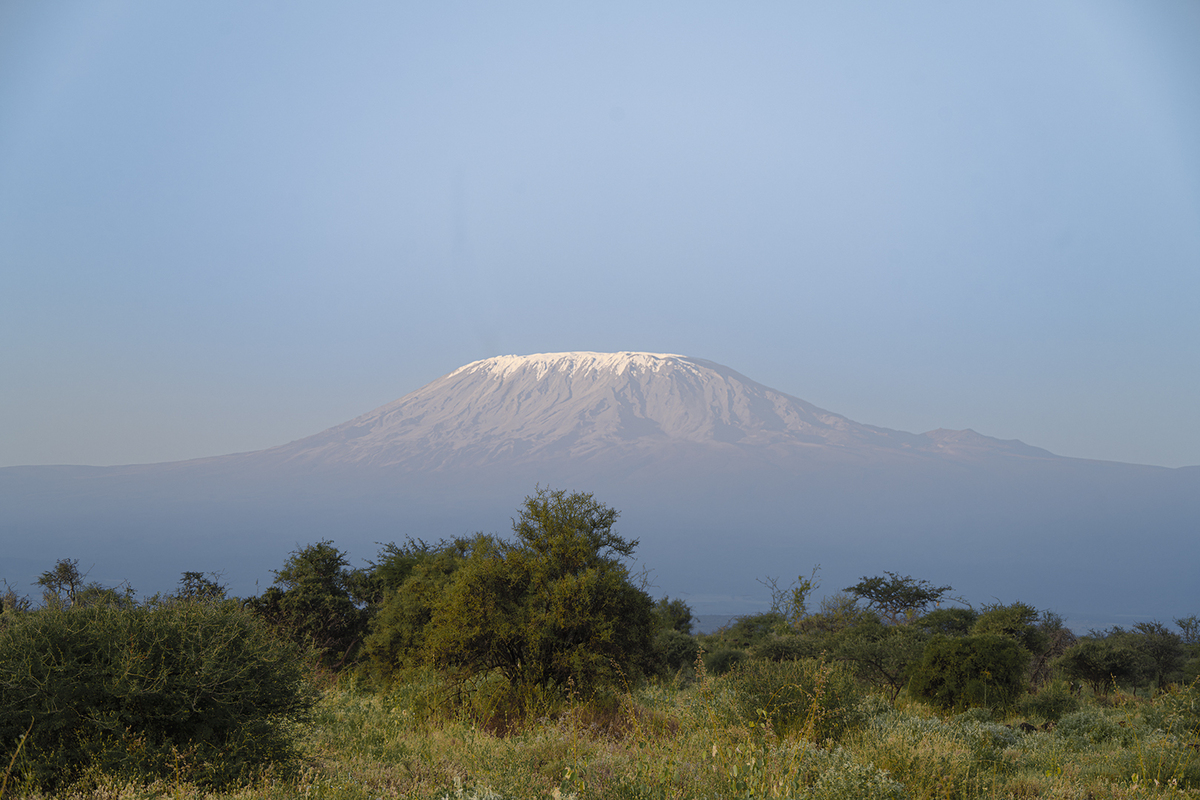 Sunrise On Mt Kilimanjaro 8570
