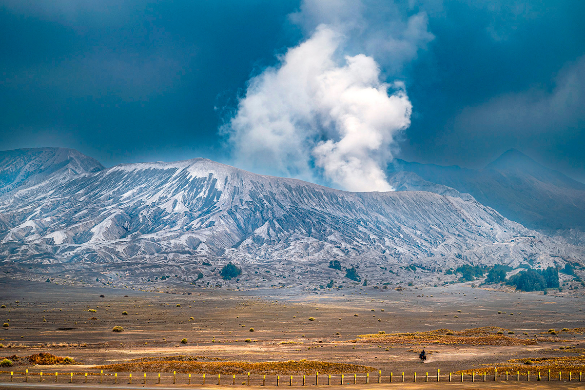 Lonely Horse Rider 2049