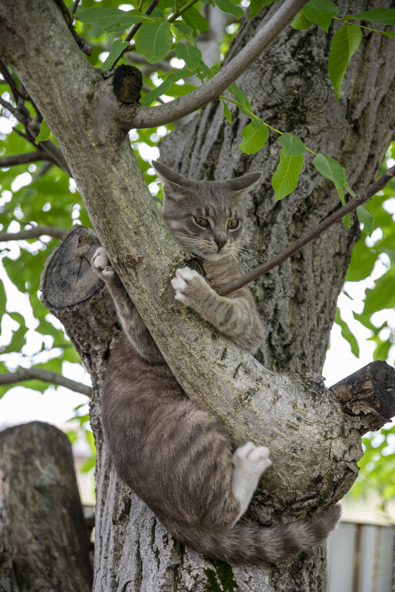 Тримаймося 