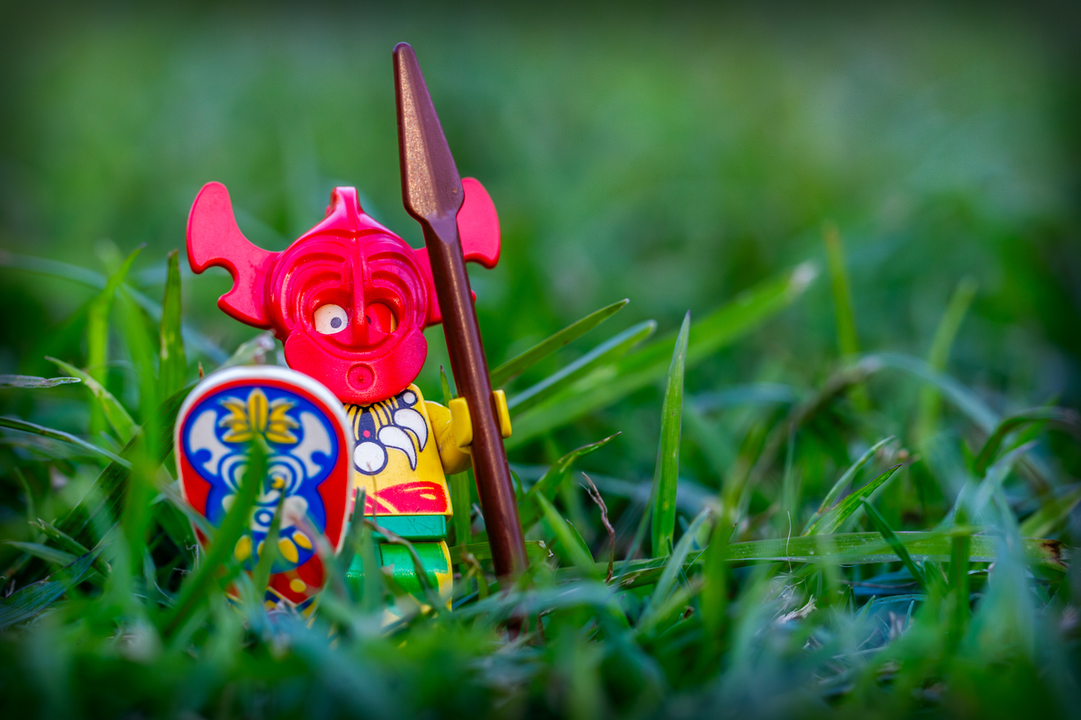Lego Warrior