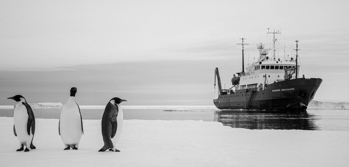 Incursions Into Antarctica