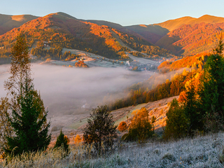 Harmony of an autumn morning