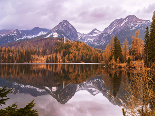 Spring is not far away