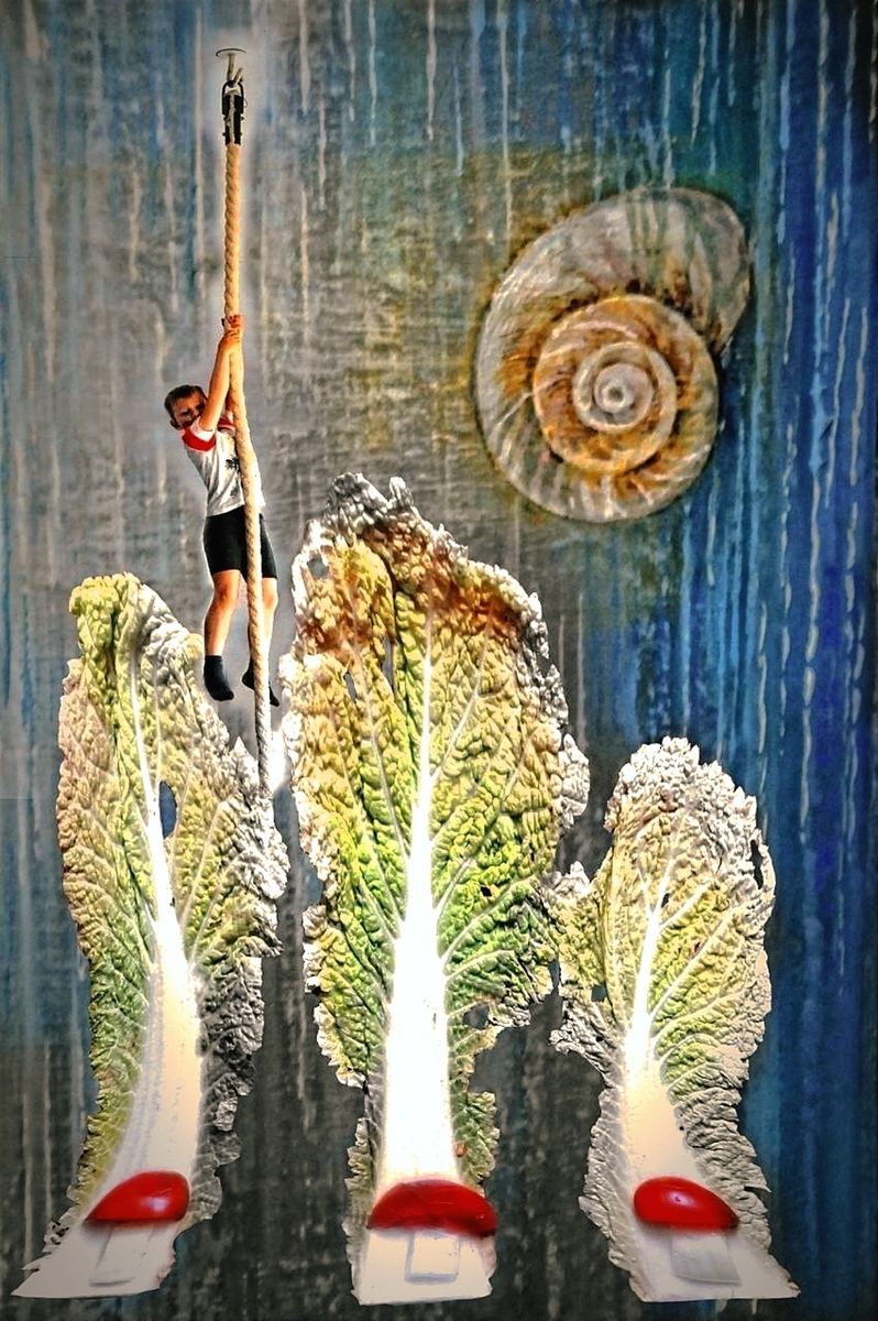 Повернення в мирне літо 