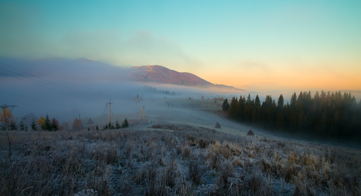 Where silence awakens