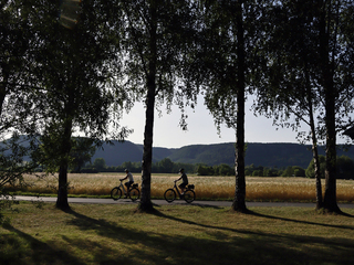 Прогулянка