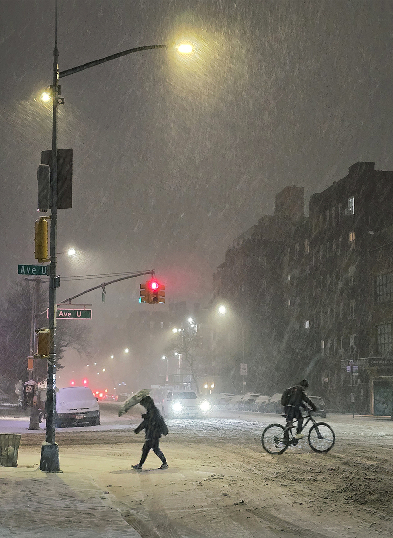 Winter in Brooklyn