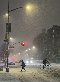 Winter in Brooklyn