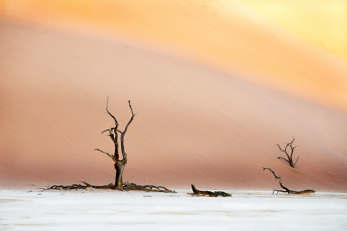 Evening in Deadvlei