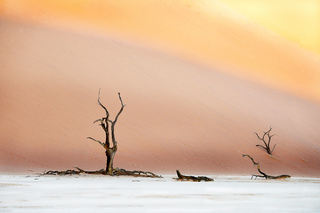 Evening in Deadvlei