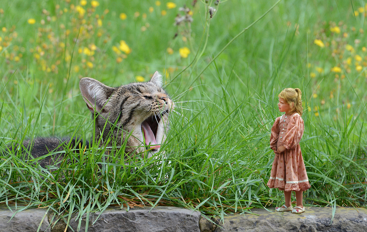 FELINE AND LITTLE GIRL