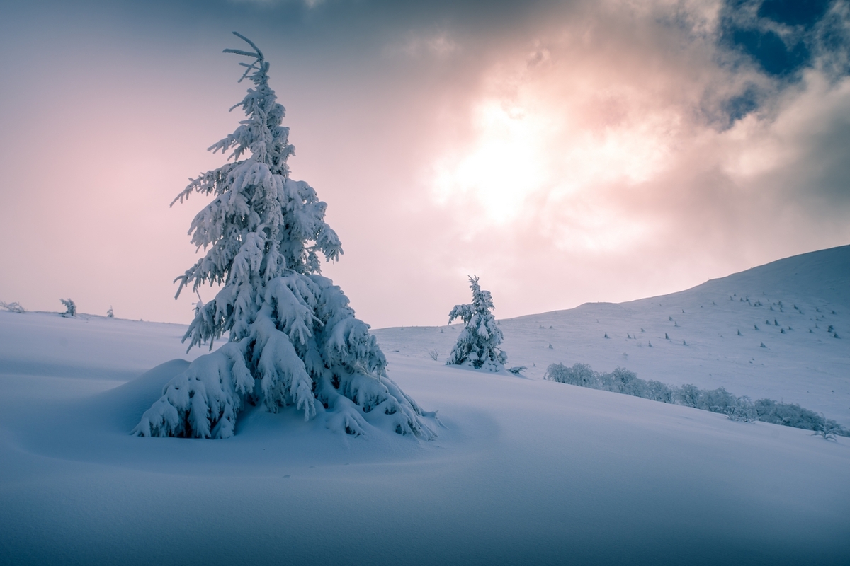снігове королівство