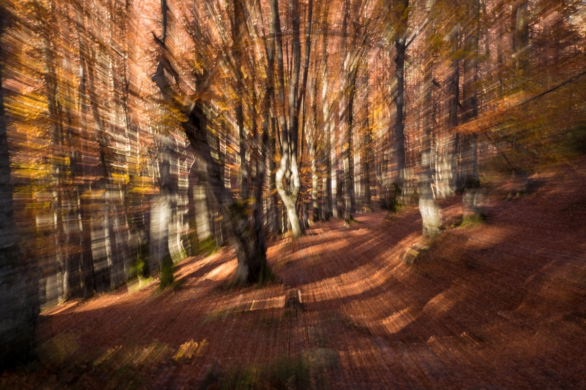 осіння круговерть