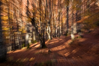 осіння круговерть