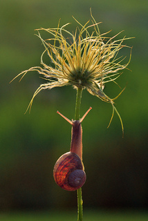 Beklimming in avondzon