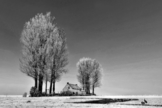 Isendica Variant in ZwW