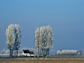 Winterochtendpanorama